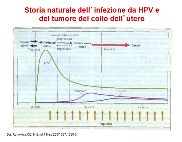 Storia naturale dell'infezione da HPV e del tumore del collo dell'utero